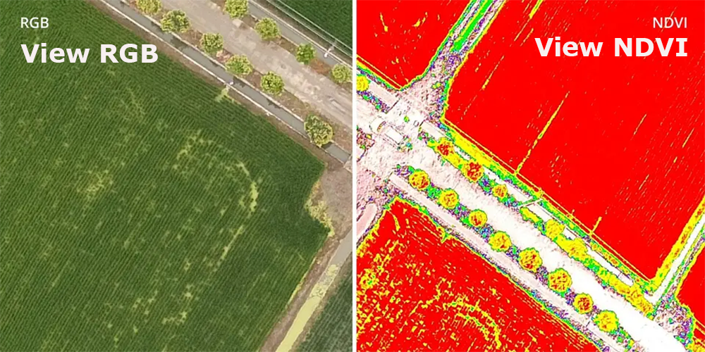 View Both RGB and NDVI Feeds